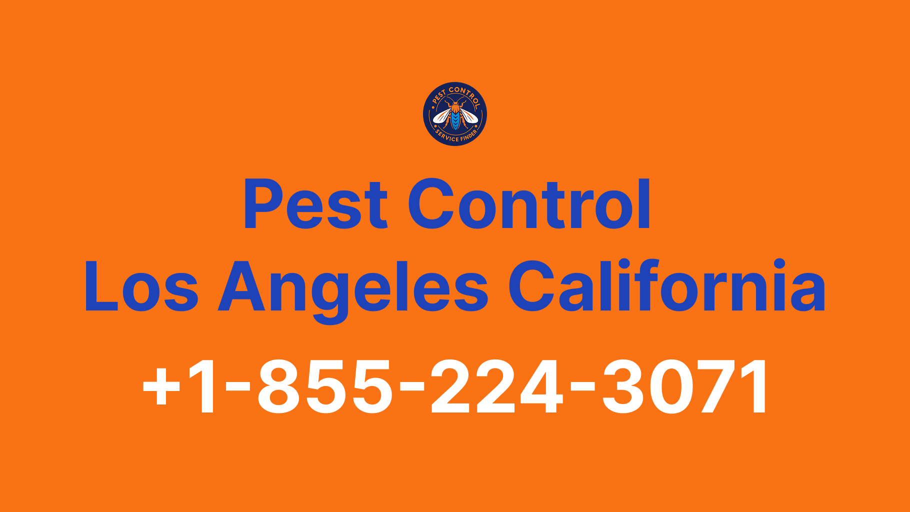 Full List of Pest Control Los Angeles California Contact Numbers - Complete Service Guide 2025