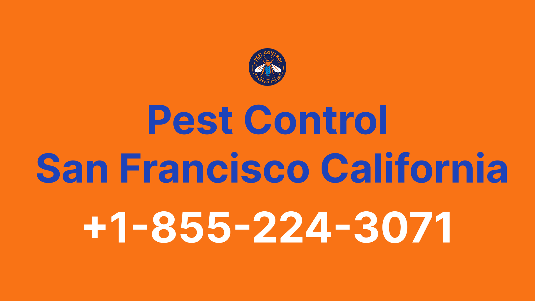 Full List of Pest Control San Francisco California Contact Numbers - Complete Service Guide 2025