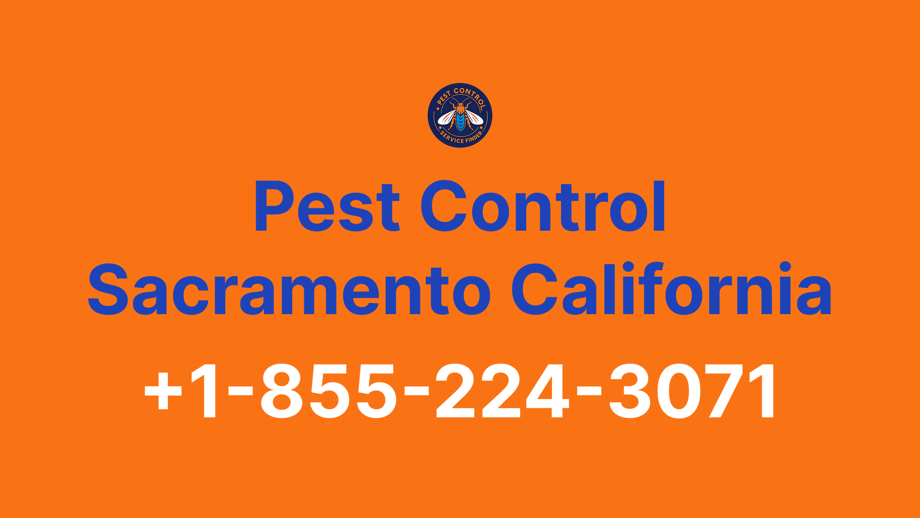 Full List of Pest Control Sacramento California Contact Numbers - Complete Service Guide 2025