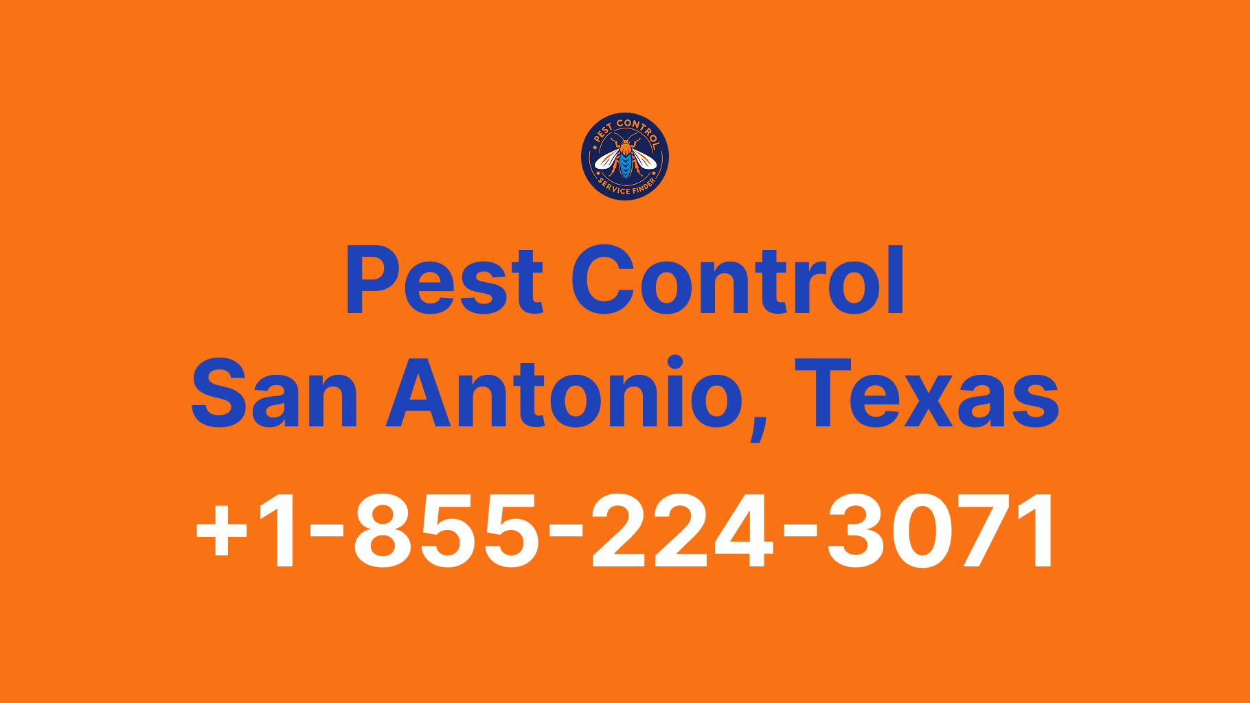 Pest Control San Antonio: Complete Guide to Services, Contacts & Emergency Help