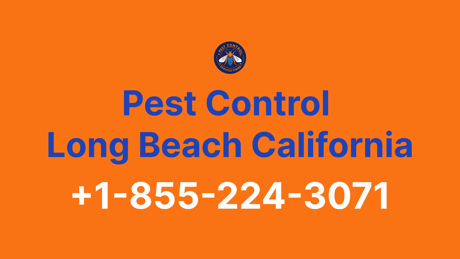 Full List of Pest Control Long Beach California Contact Numbers - Complete Service Guide 2025