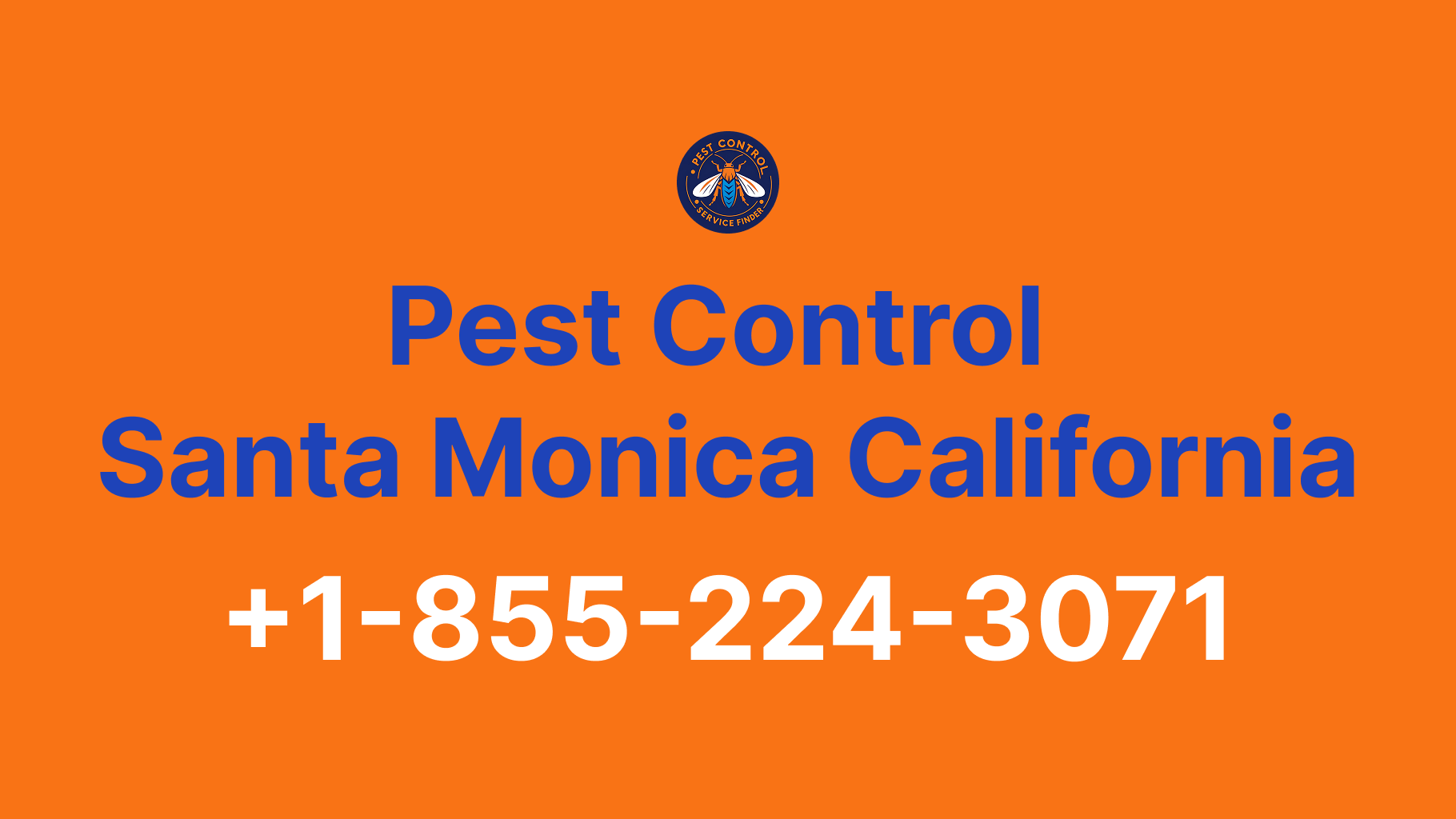 Full List of Pest Control Santa Monica California Contact Numbers - Complete Service Guide 2025