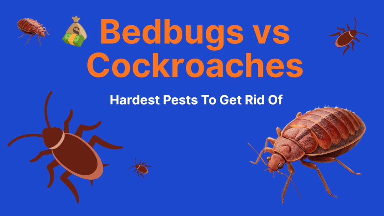 Which Is Harder to Get Rid Of: Roaches or Bed Bugs? (What Pros Say)