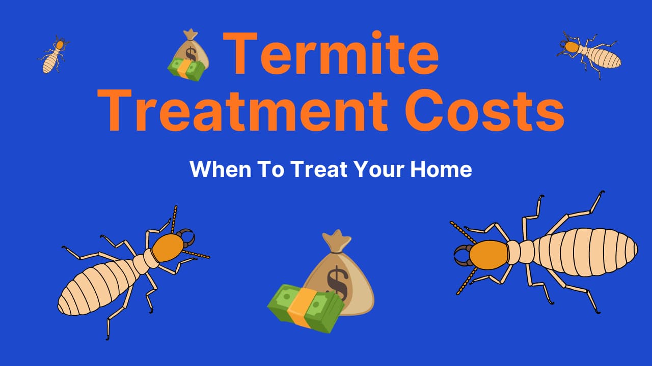 Termite Treatment Costs & When to Treat Your Home