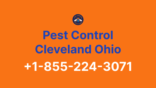 Full List of Pest Control Cleveland Ohio Contact Numbers - Complete Service Guide 2025