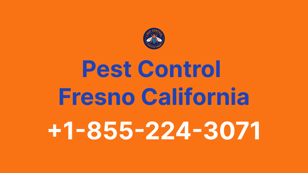 Full List of Pest Control Fresno California Contact Numbers - Complete Service Guide 2025