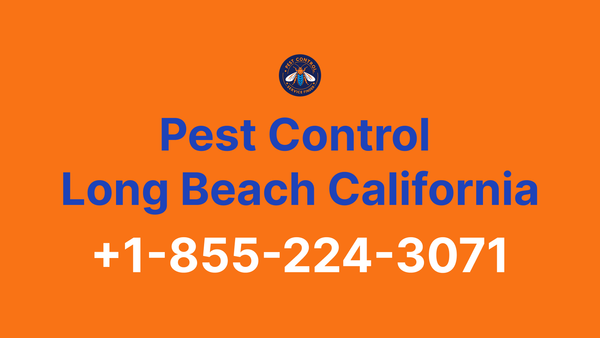 Full List of Pest Control Long Beach California Contact Numbers - Complete Service Guide 2025
