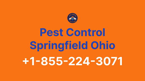 Full List of Pest Control Springfield Ohio Contact Numbers - Complete Service Guide 2025