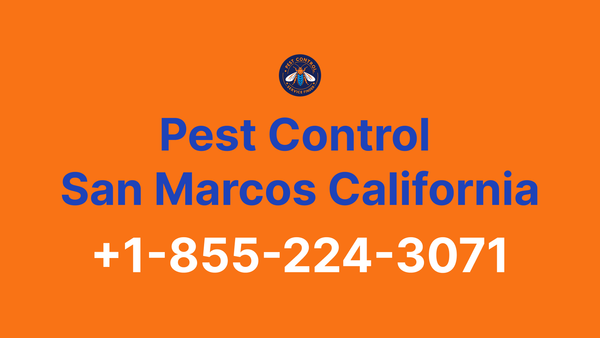 Full List of Pest Control San Marcos California Contact Numbers - Complete Service Guide 2025