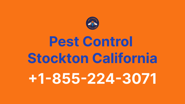 Full List of Pest Control Stockton California Contact Numbers - Complete Service Guide 2025