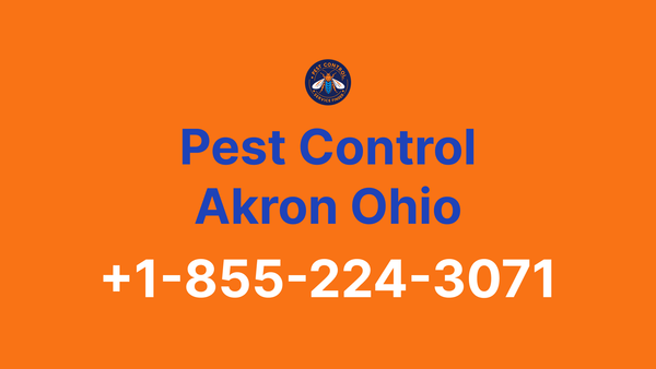 Full List of Pest Control Akron Ohio Contact Numbers - Complete Service Guide 2025
