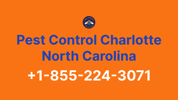 Full List of Pest Control Charlotte North Carolina Contact Numbers - Complete Service Guide 2025