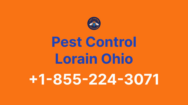 Full List of Pest Control Lorain Ohio Contact Numbers - Complete Service Guide 2025