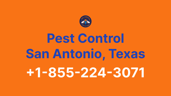 Pest Control San Antonio: Complete Guide to Services, Contacts & Emergency Help