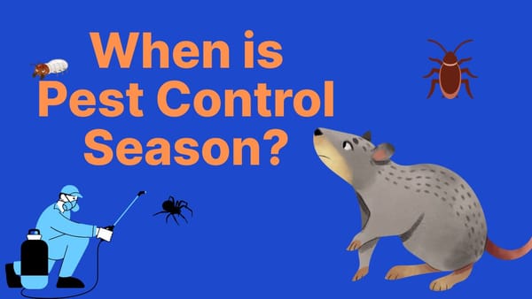When Is Pest Control Season? (Hint: It’s Earlier Than You Expect)