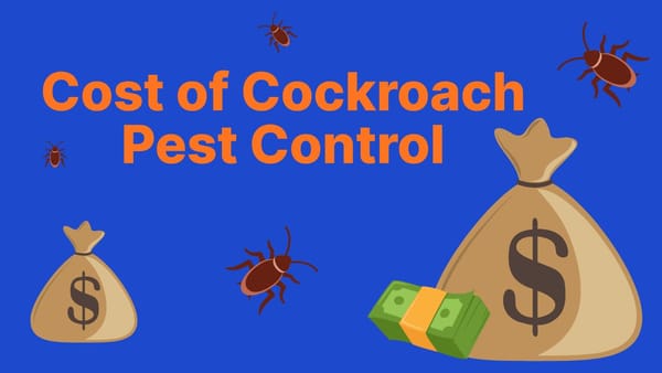 Cost of Cockroach Pest Control — What You’ll Truly Pay (and How to Avoid Overpaying)