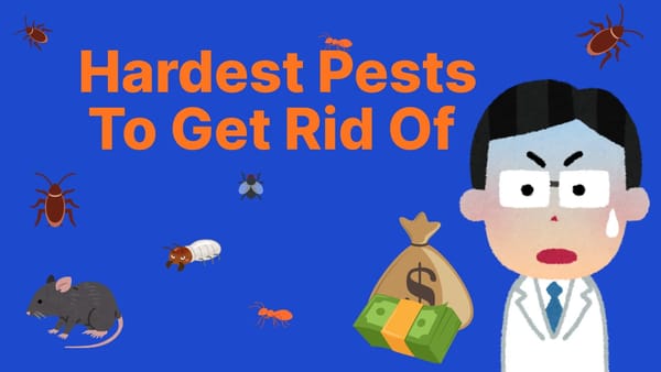 What Are the Hardest Pests to Get Rid Of — Complete Homeowner’s Guide